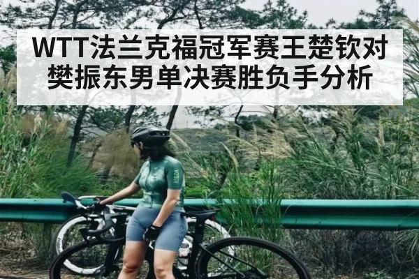 WTT法兰克福冠军赛王楚钦对樊振东男单决赛胜负手分析